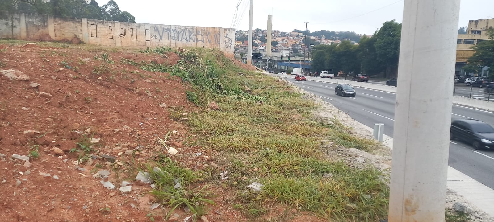 WhatsApp Image 2025-03-10 at 13.25.47.jpeg