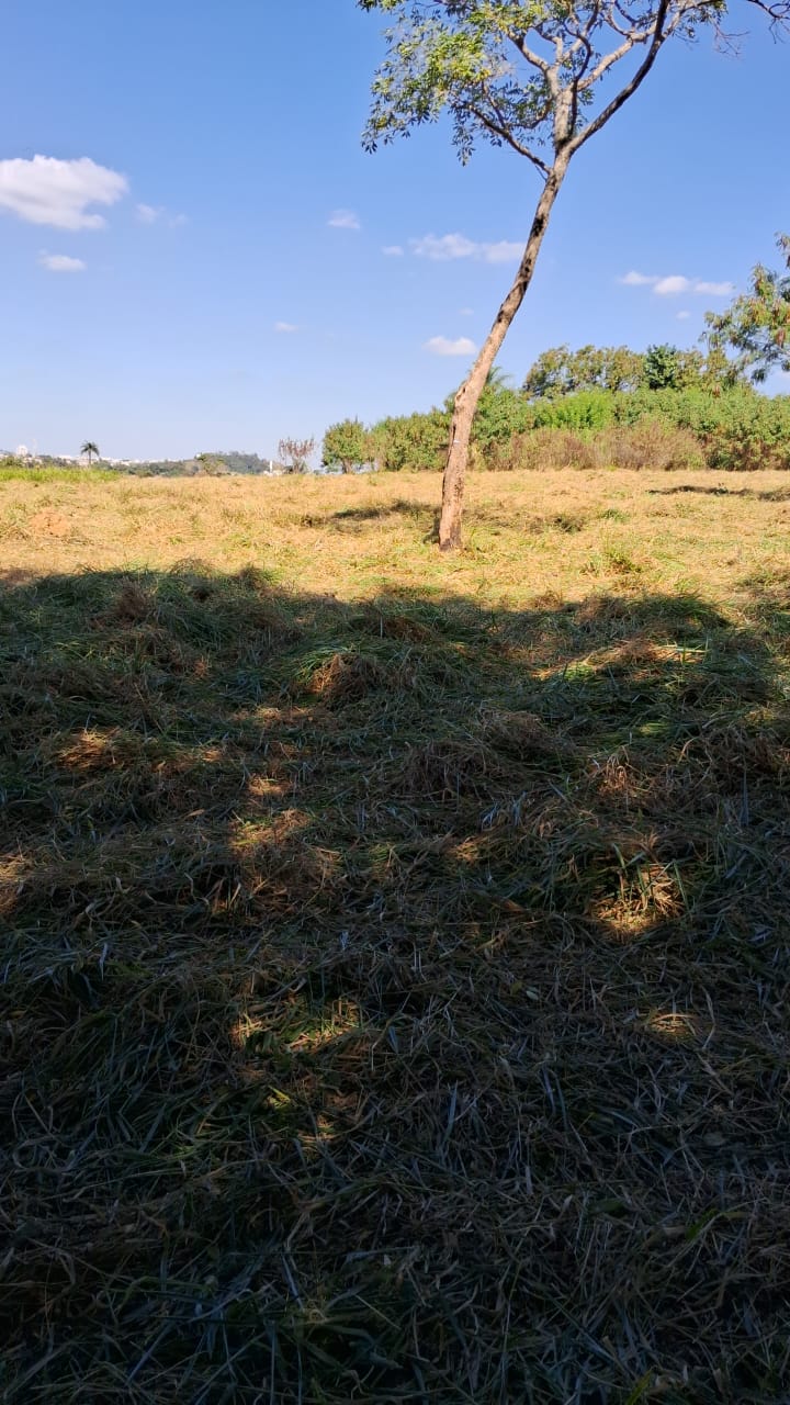 WhatsApp Image 2024-11-27 at 11.48.44.jpeg