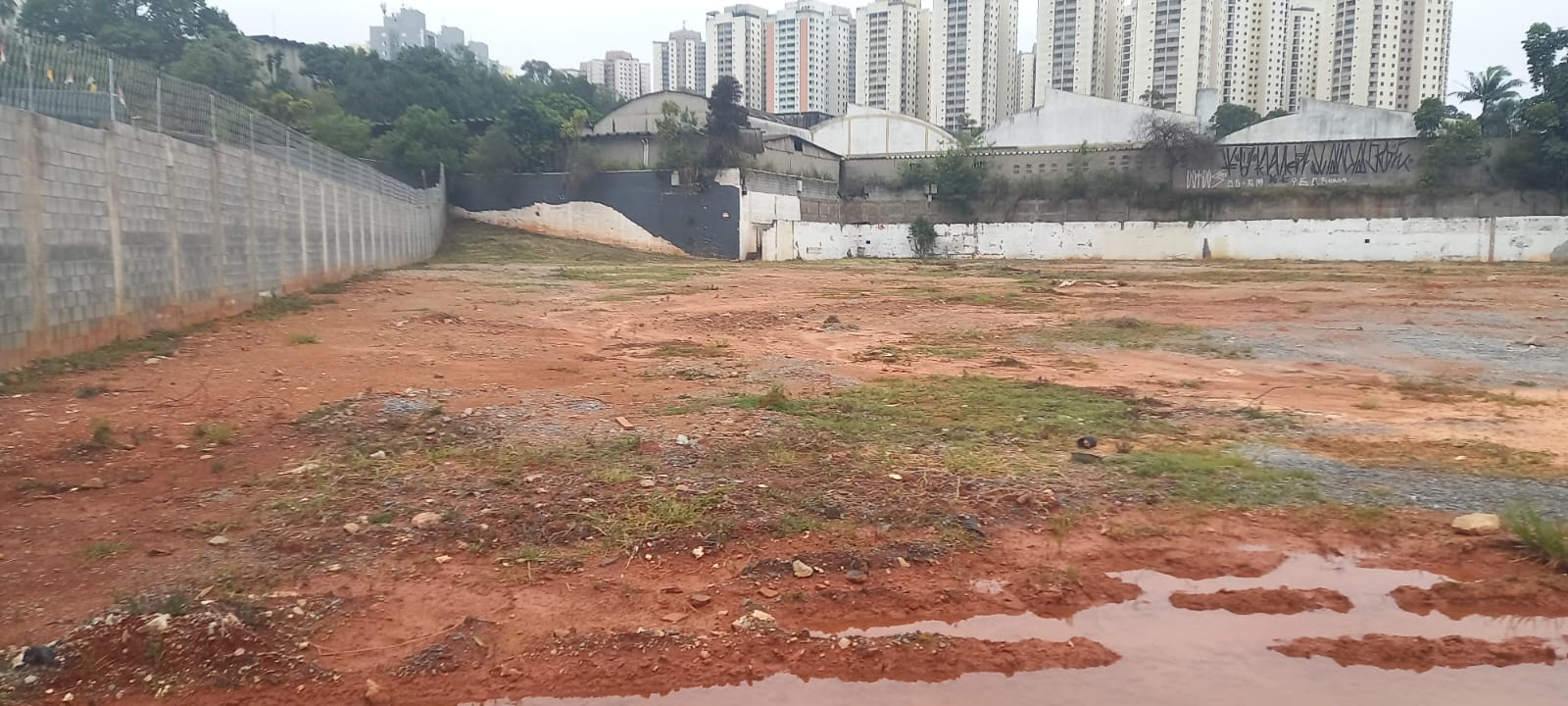 WhatsApp Image 2025-03-10 at 13.25.51.jpeg