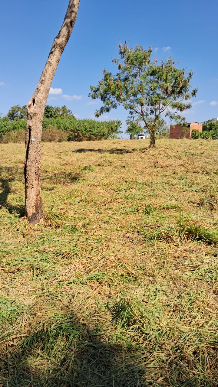 WhatsApp Image 2024-11-27 at 11.48.45 (2).jpeg